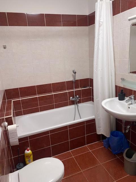 Roland Apartment Downtown - Garay Budapeszt Zewnętrze zdjęcie